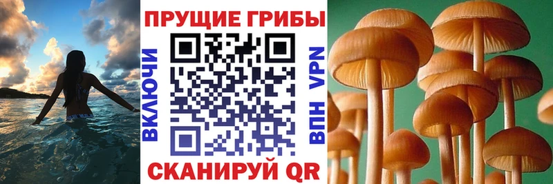 цена наркотик  Апрелевка  Галлюциногенные грибы ЛСД 