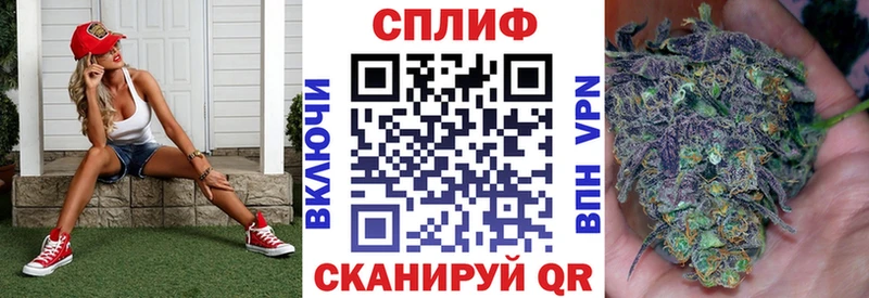 купить наркотики цена Апрелевка Каннабис сатива